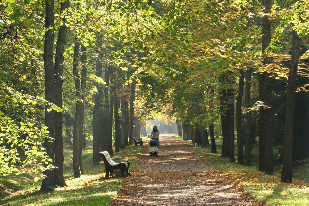 Photograph by Юрий Чистяков