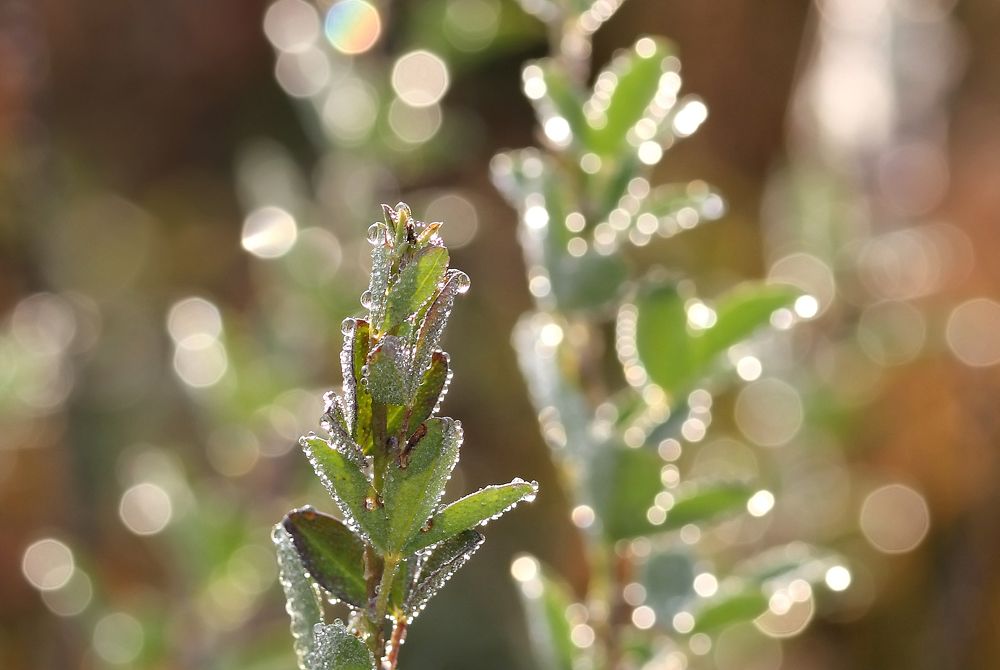 Фотография автора Кухта Мария