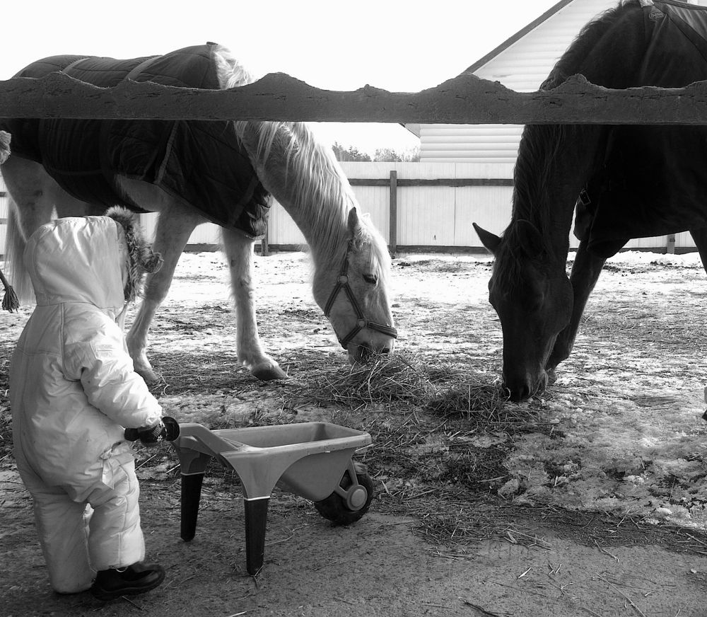 Photograph by Taтьяна Войлокова