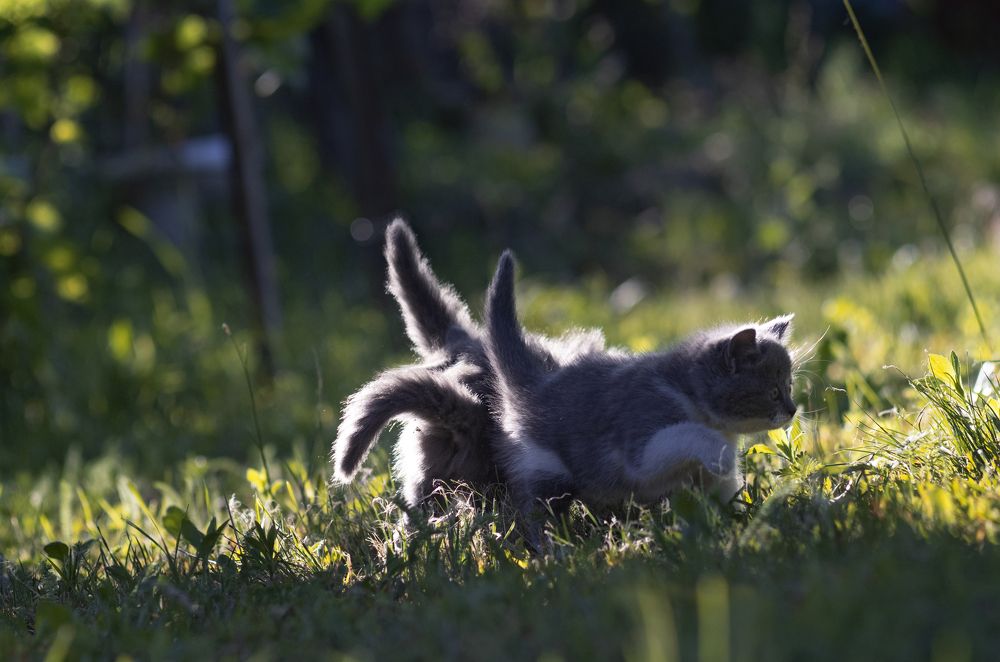 Photograph by Олег Коваль