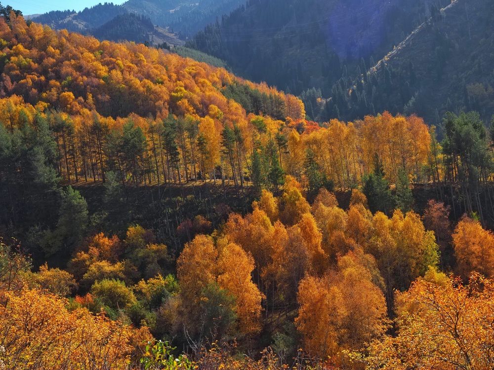 Photograph by Сергей Пермин