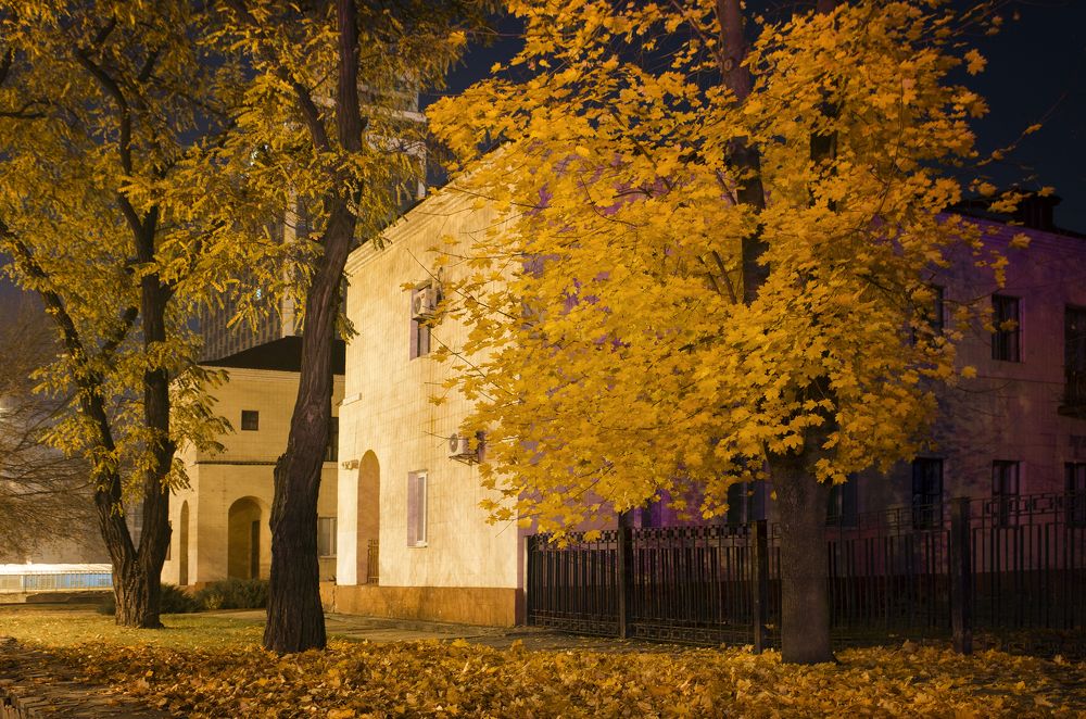 Photograph by Олег Коваль