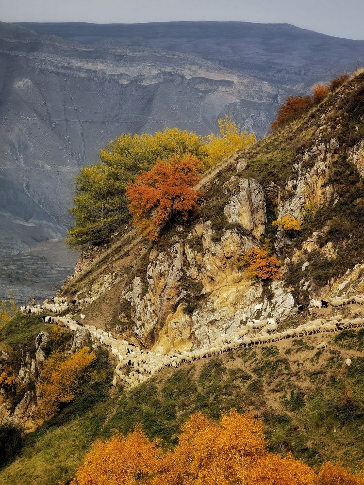 Photograph by Данил Макаренко