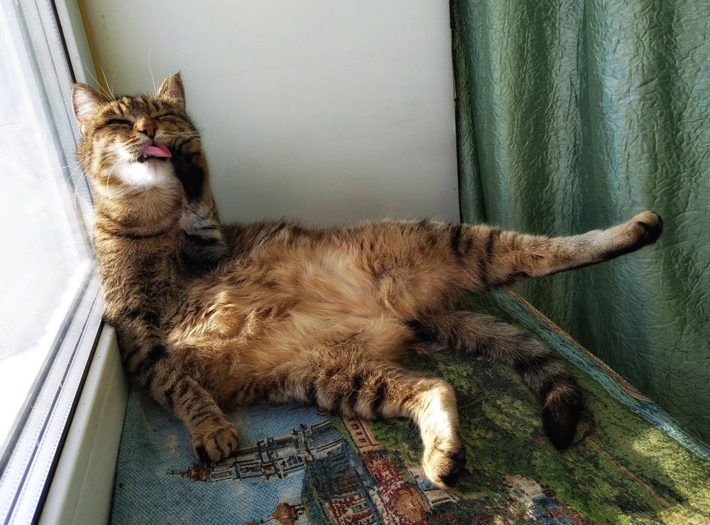 Photograph by Владимир Сафронов