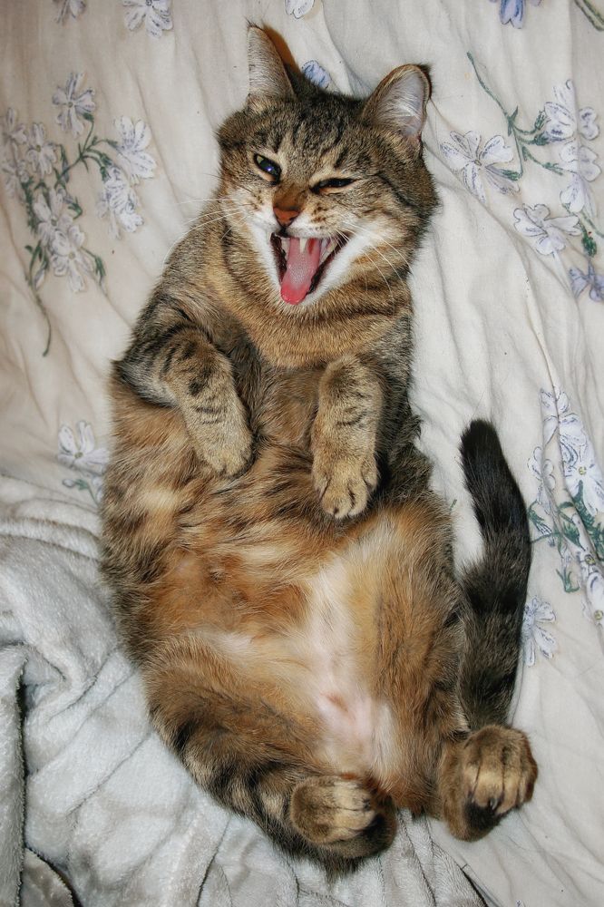 Photograph by Владимир Сафронов