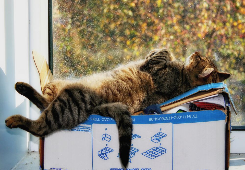 Photograph by Владимир Сафронов