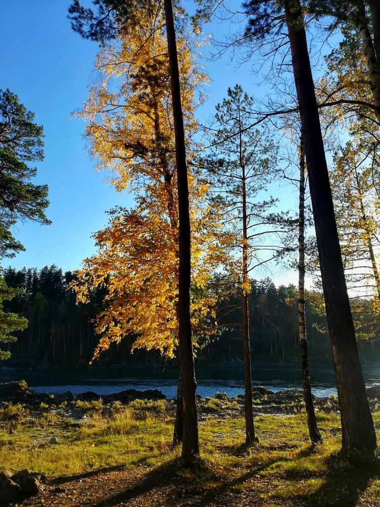 Photograph by Татьяна Кужлекова