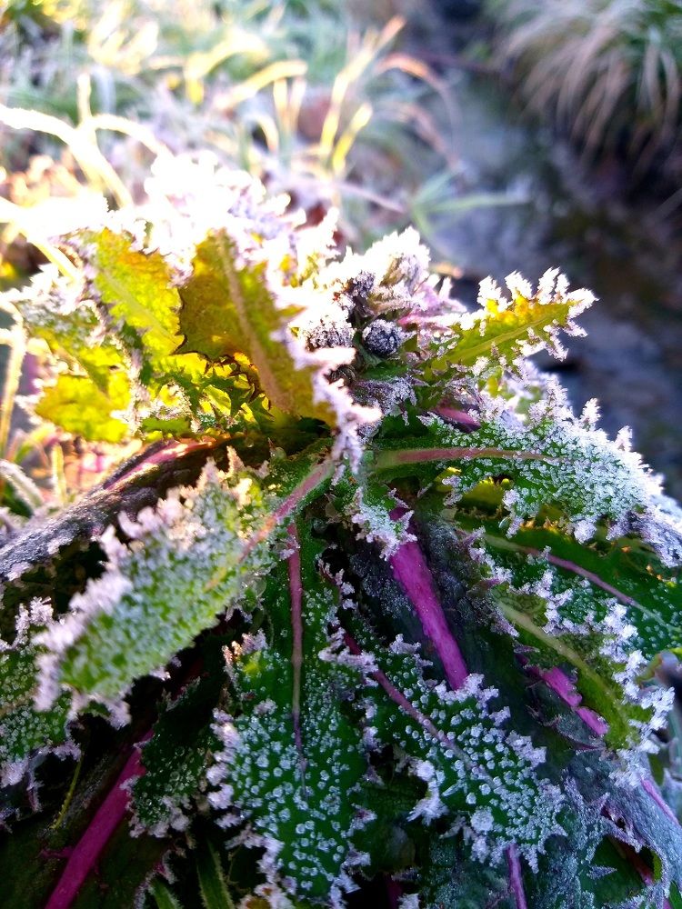 Photograph by Татьяна Литвинова