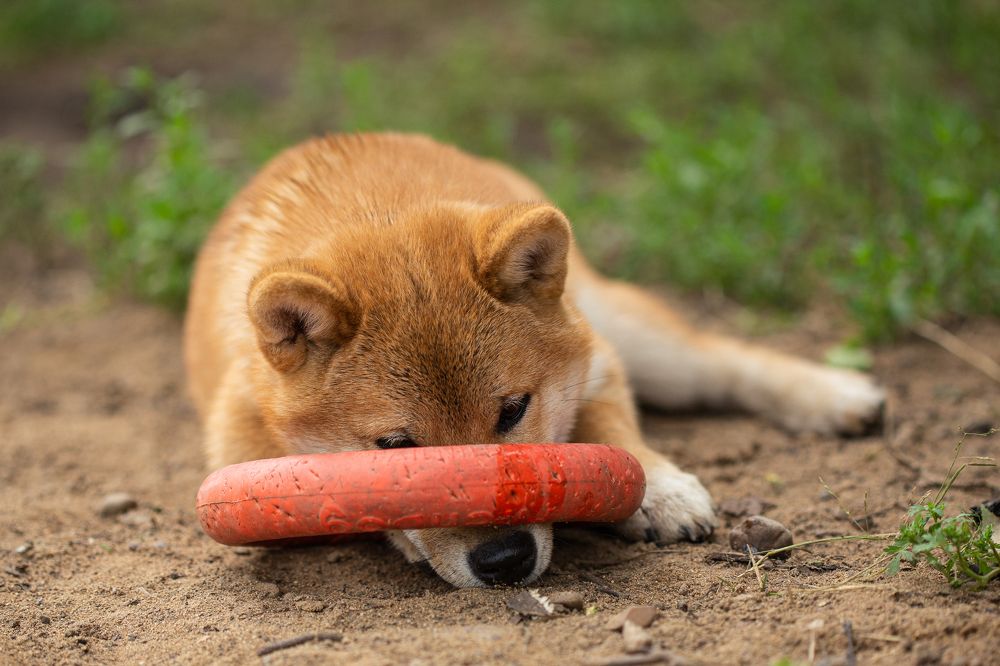 А я спрятался