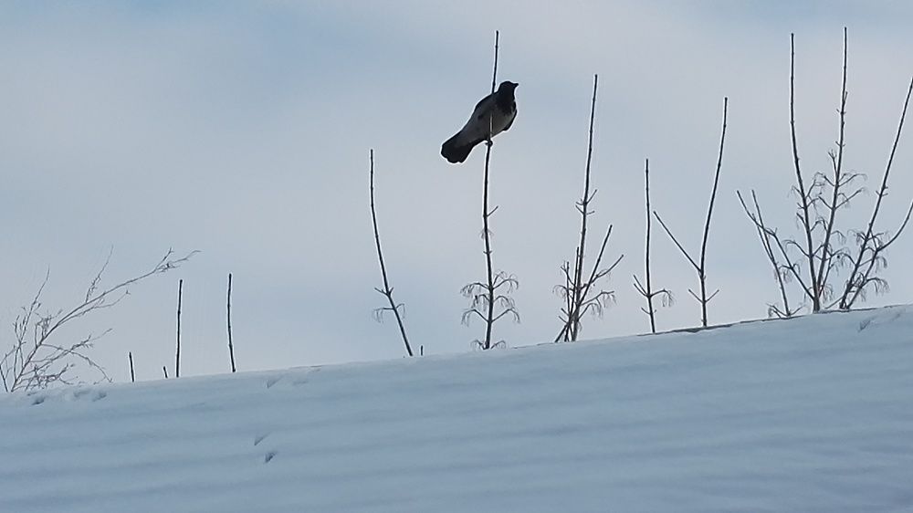 Photograph by Тамара Багровская