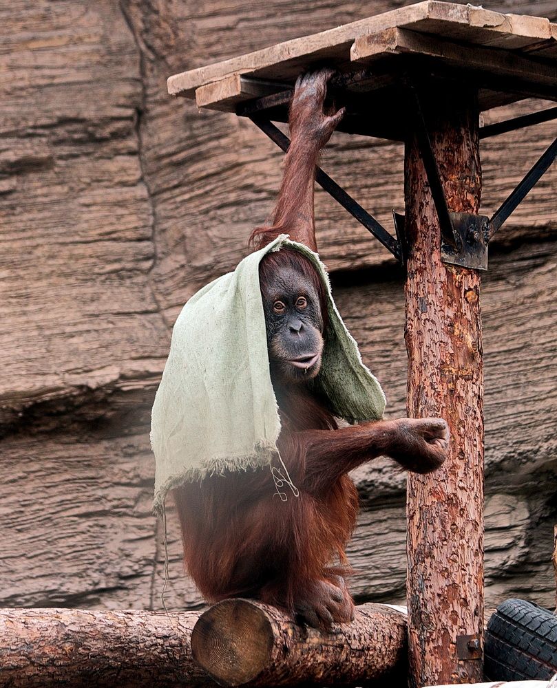 Фотография автора АЛЕКСАНДР ЦЫГЕЛЬНЮК