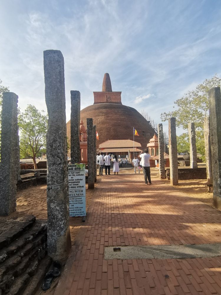 Фотография автора Rajitha Fernando