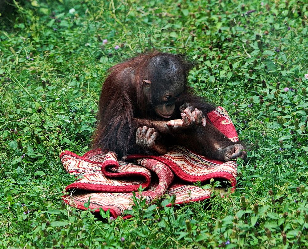 Фотография автора АЛЕКСАНДР ЦЫГЕЛЬНЮК