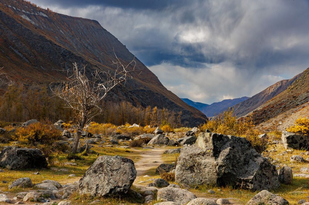 Photograph by Людмила Аксенова