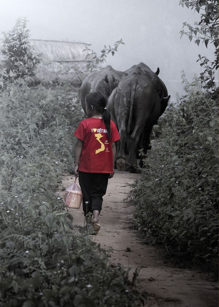 Photograph by CHU HUU LAC