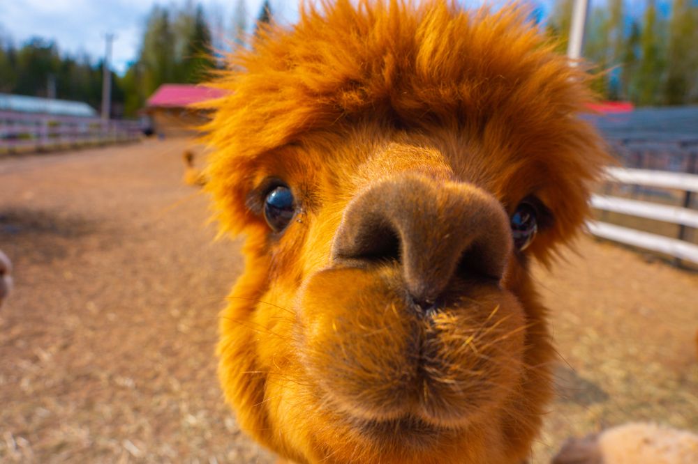 Photograph by Vitaly Zubkov