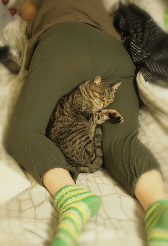 Photograph by Владимир Сафронов