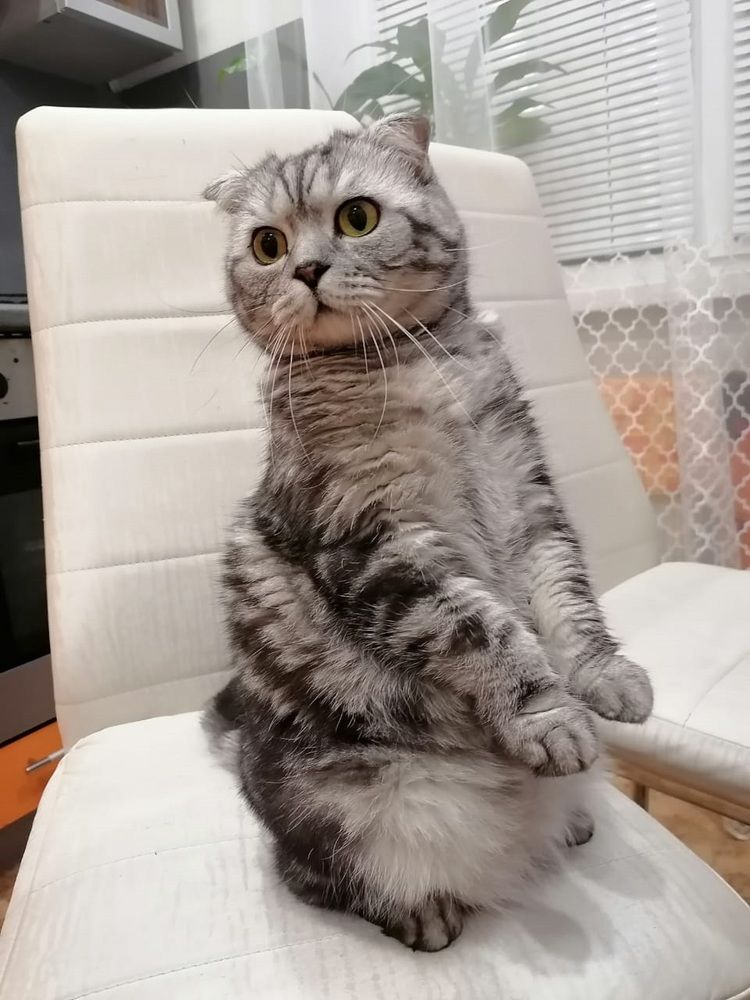 Photograph by Тамара Багровская