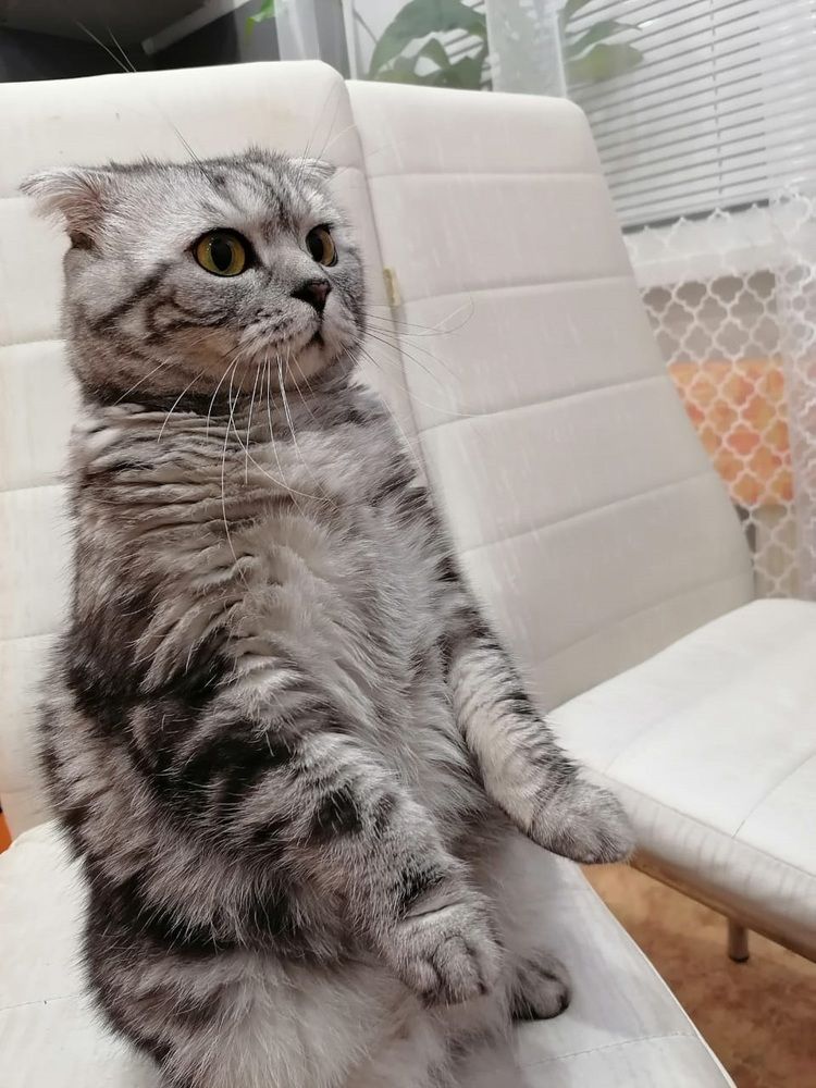 Photograph by Тамара Багровская