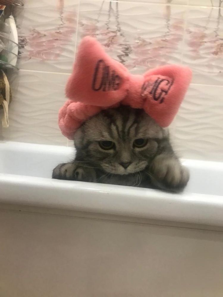 Photograph by Тамара Багровская