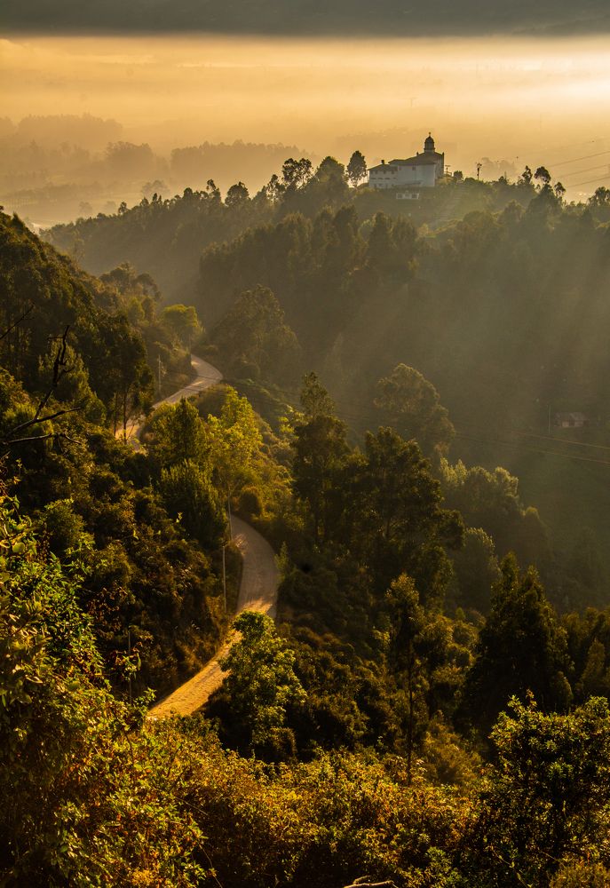 Photograph by Mario Pedraza