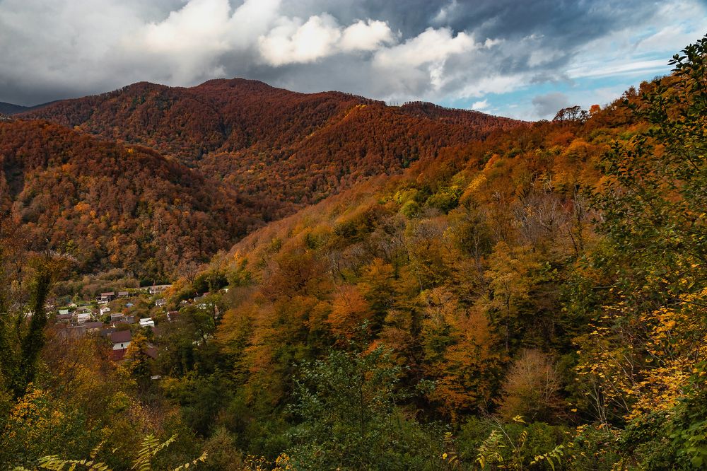 Photograph by Виталий Шкадинов