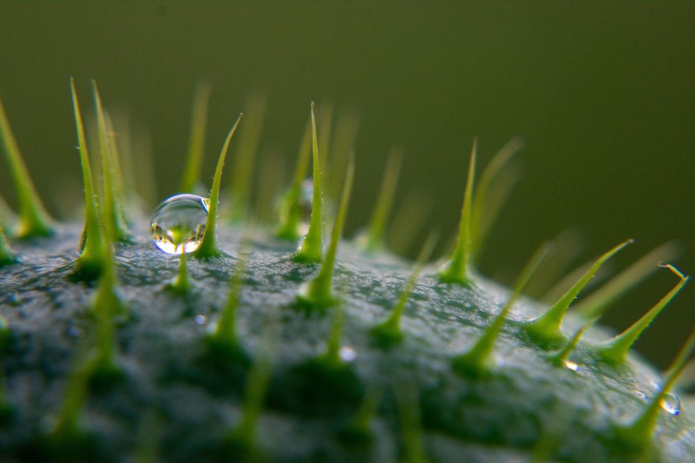 Photograph by Игорь Еремеев