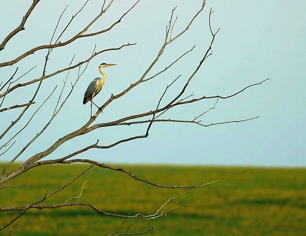 Photograph by Наталья Анисимова
