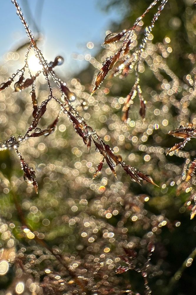 Photograph by Мария Алейникова