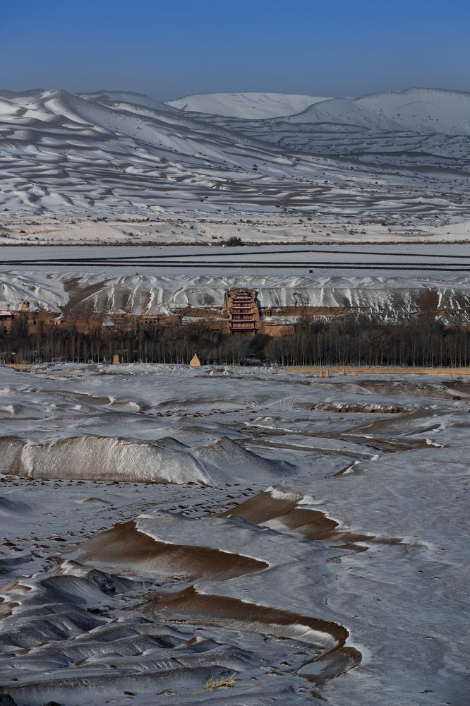 Photograph by Ocean xu