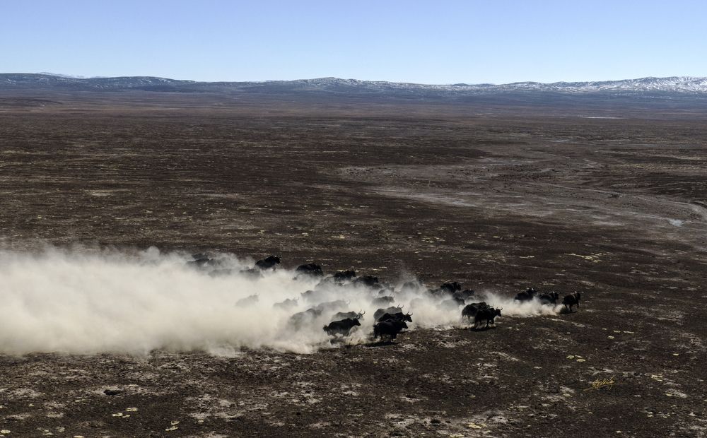 Photograph by Ocean xu