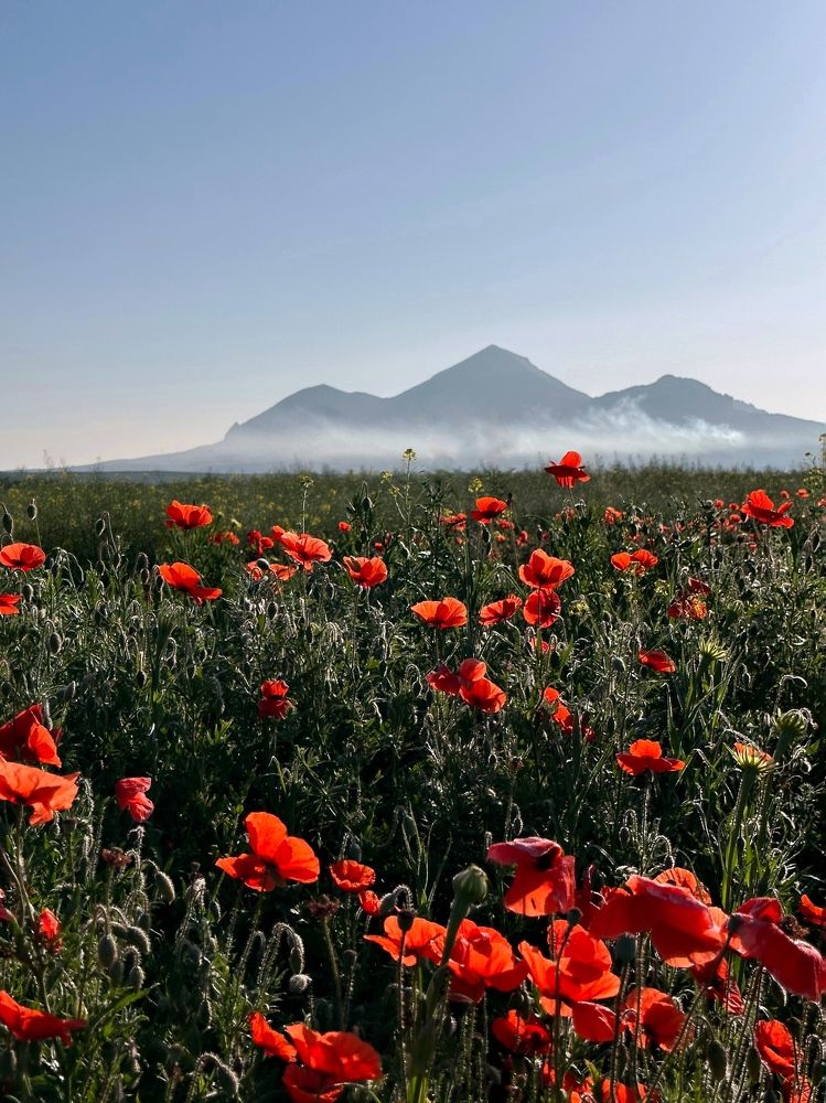 Photograph by Мария Алейникова