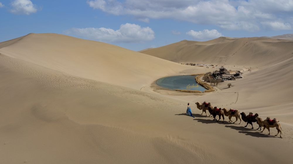 Photograph by Ocean xu