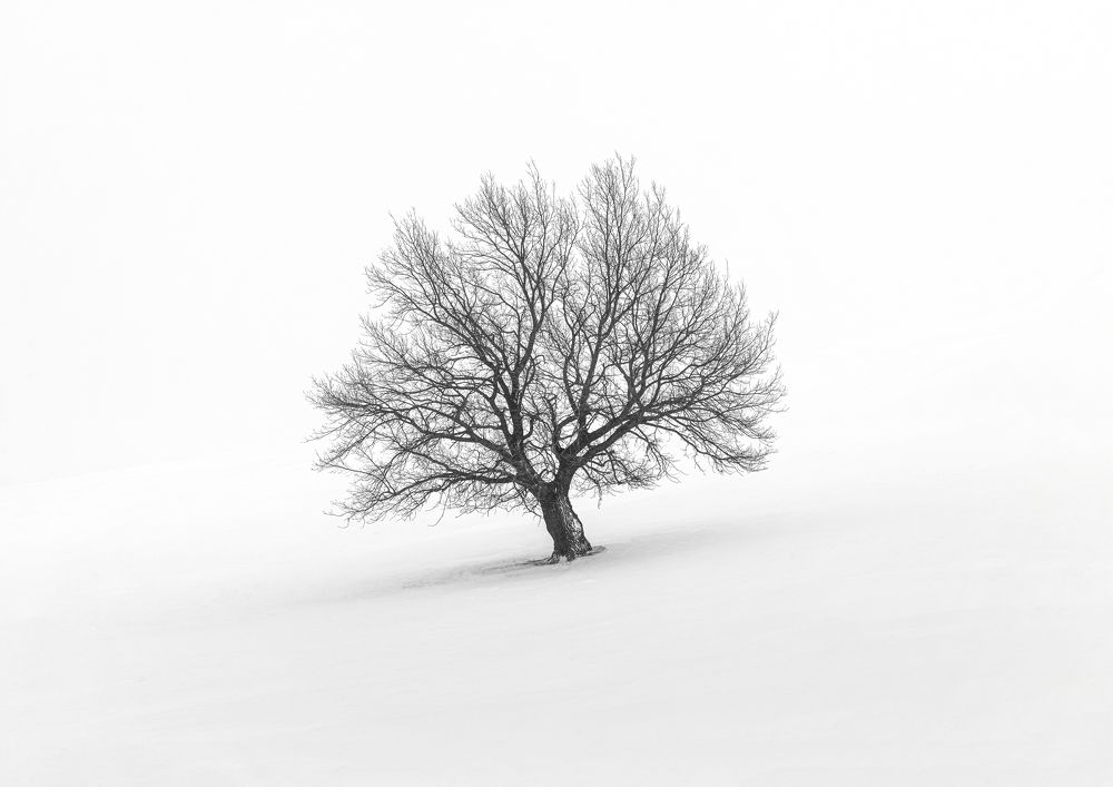 Photograph by Бирюкова Татьяна