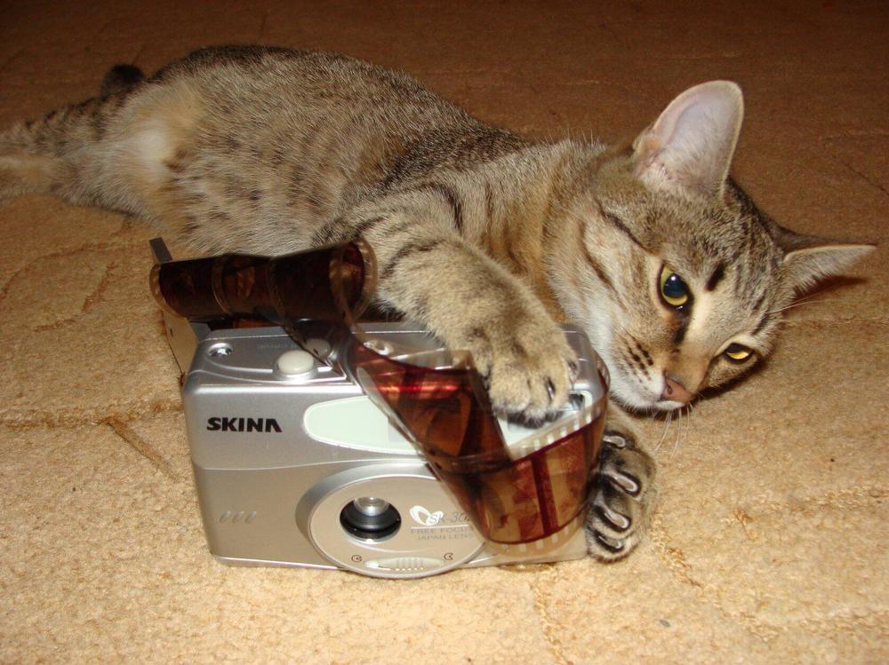 Фотография автора Павел Попов