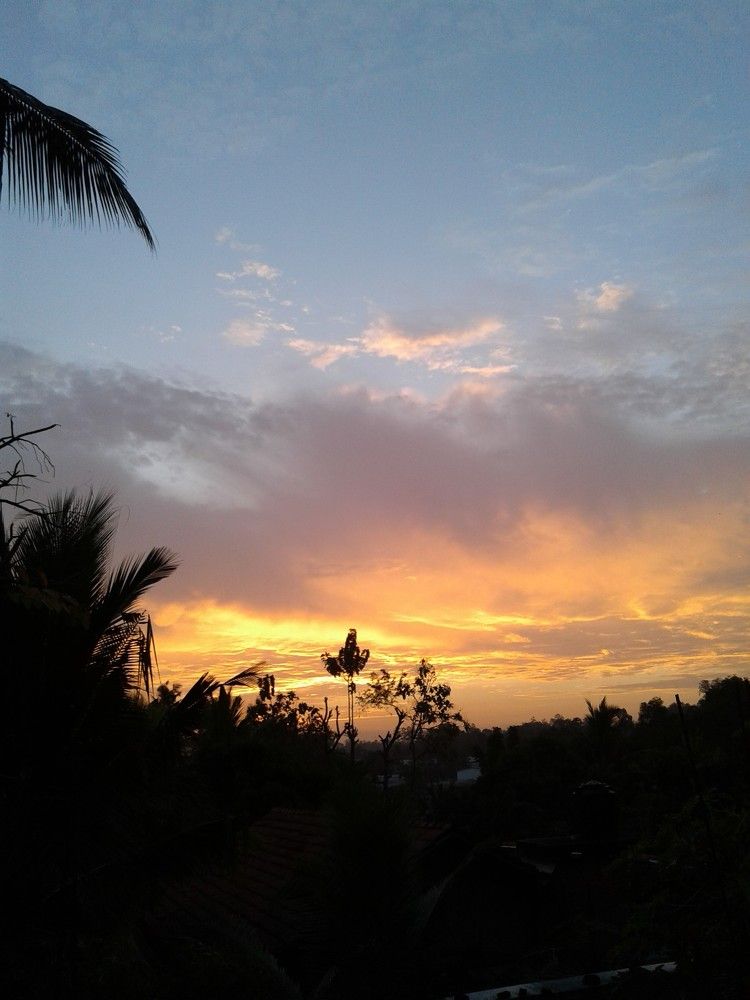 Photo #9679865