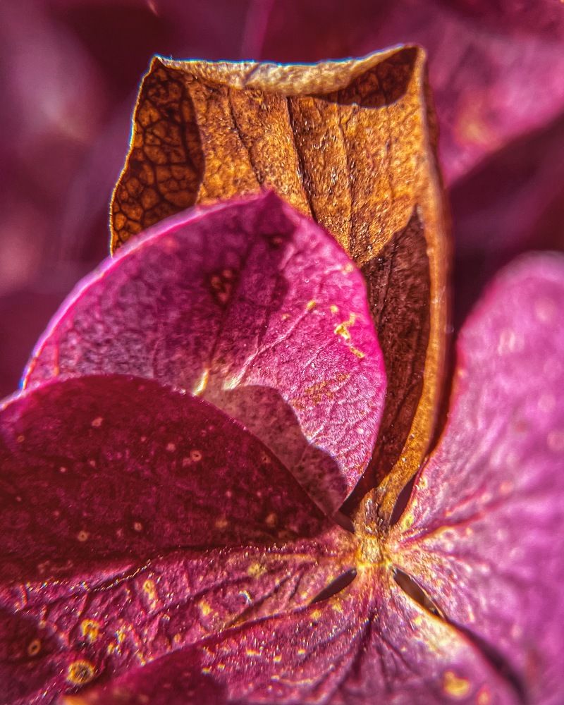 Photograph by Ольга Дорошенко