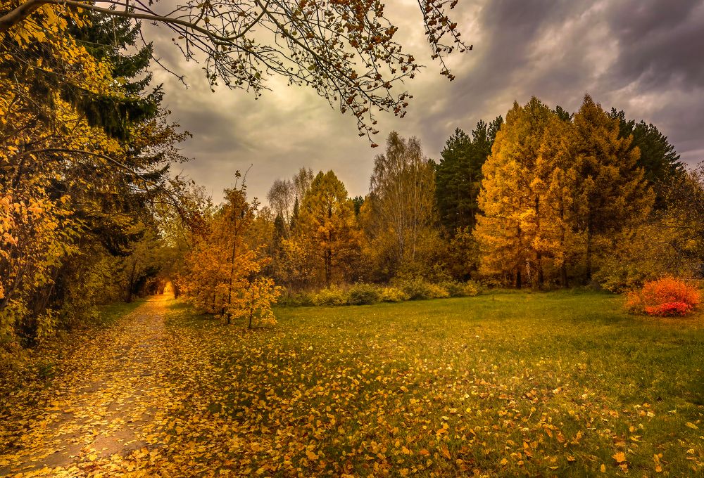 Photograph by Александр Разумов