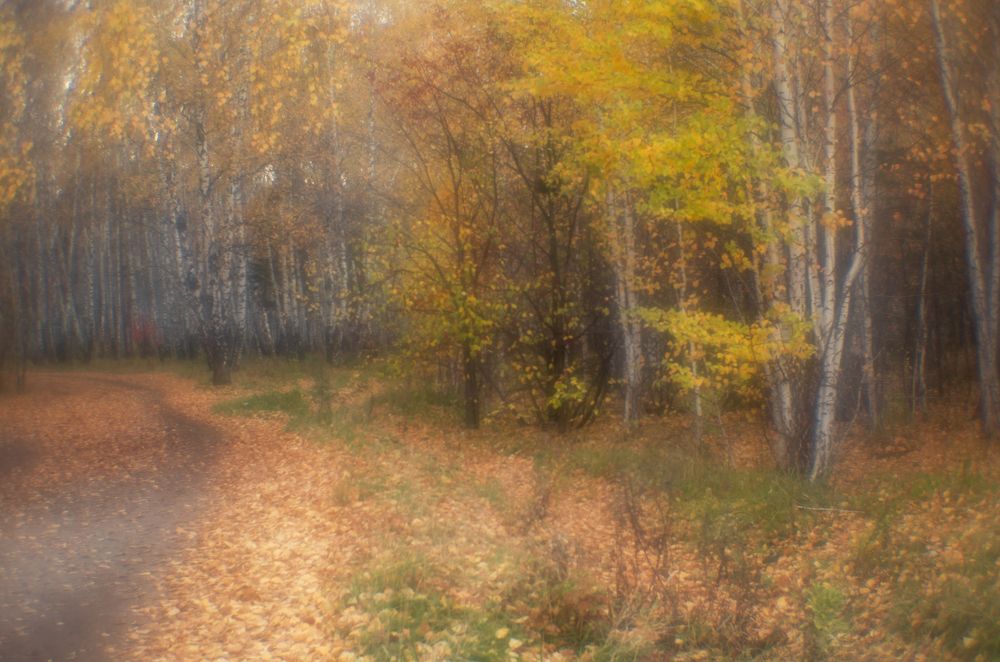 Photograph by Татьяна Овчинникова