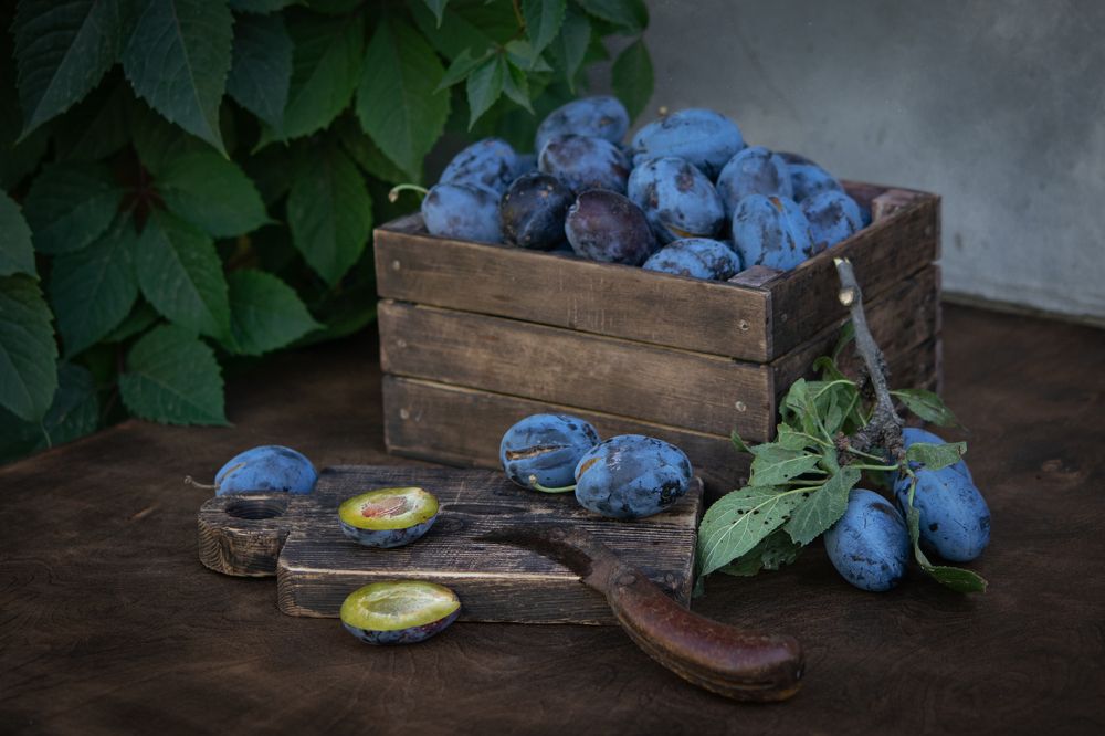 Photograph by Денис Ветренко