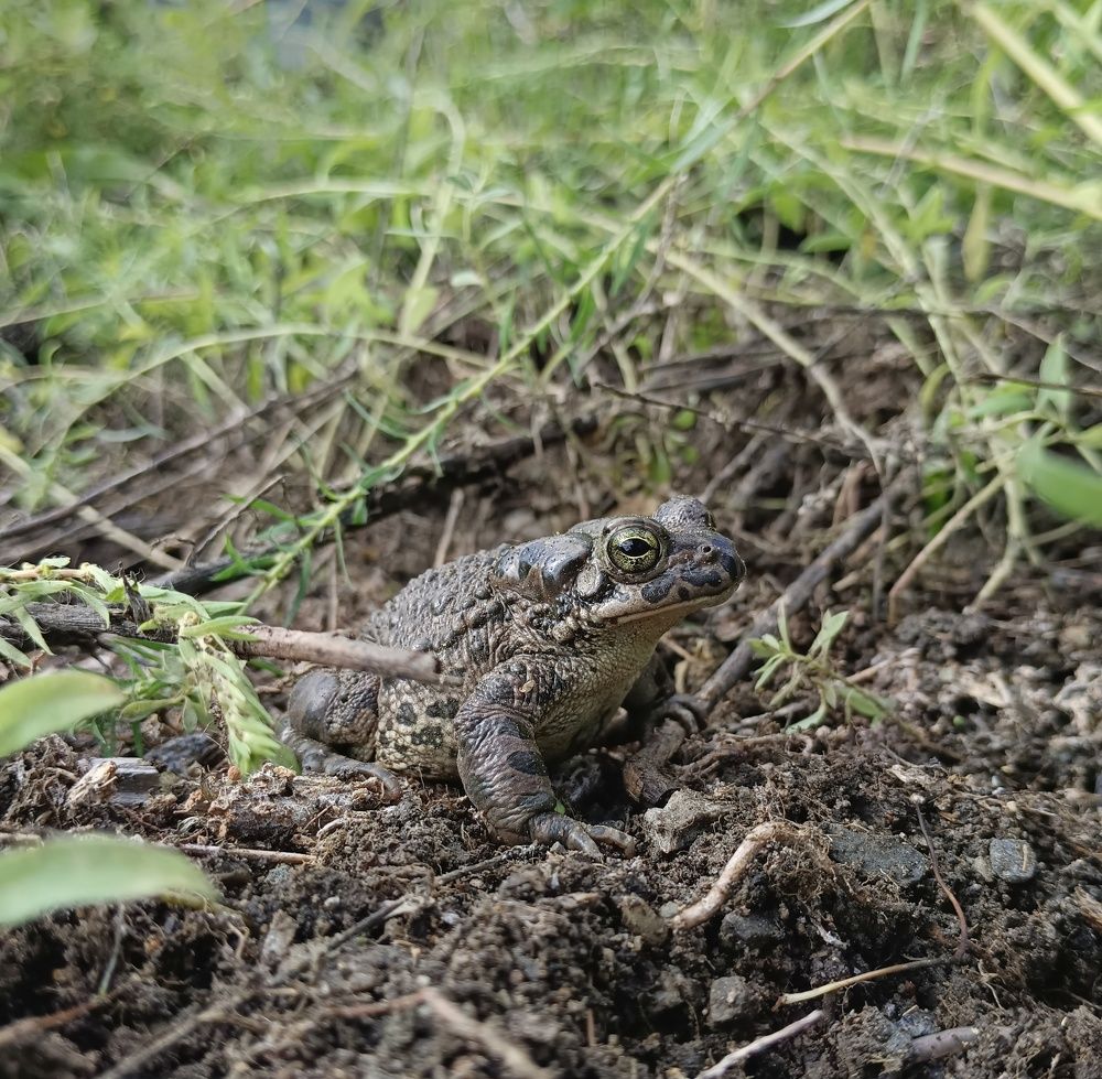 Photograph by Дамир Батряков
