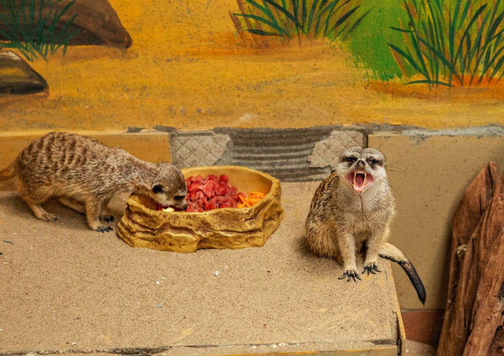 Photograph by Ольга Остапенко