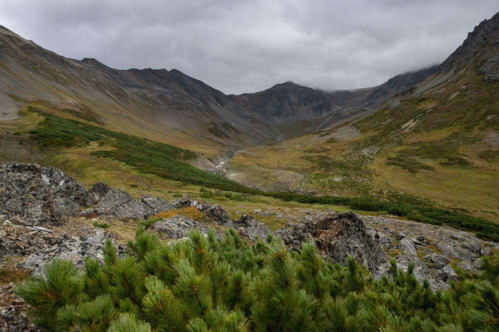 Photograph by Юлия Хобта