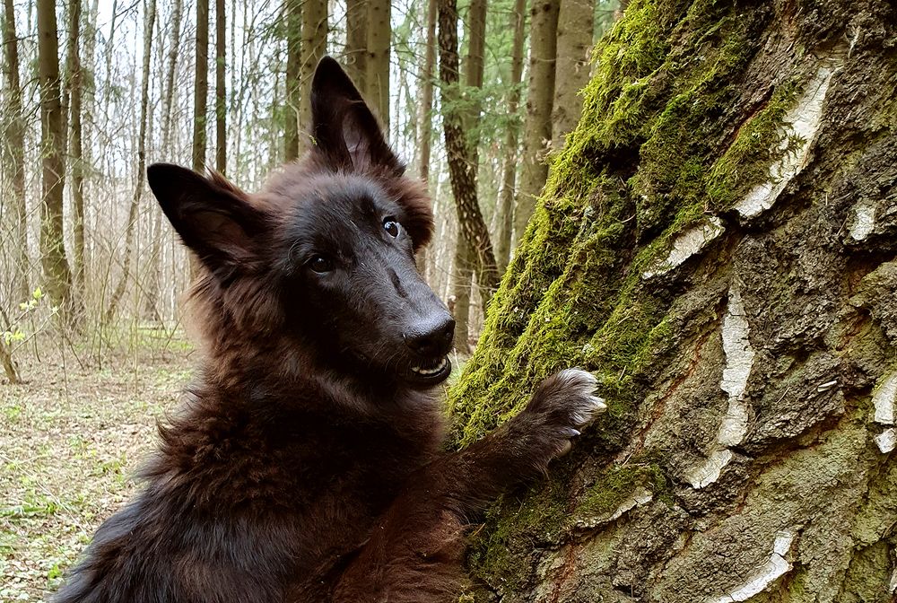 Фотография автора Надежда Лисицына