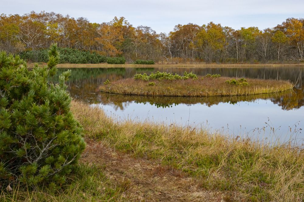 Photograph by Юлия Хобта