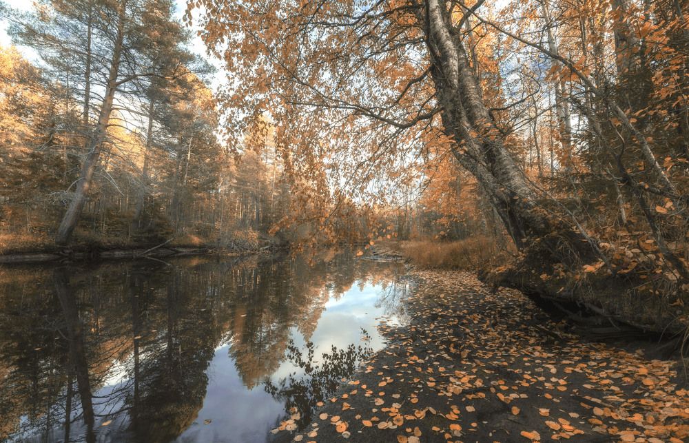 Photograph by Сергей Давлетшин