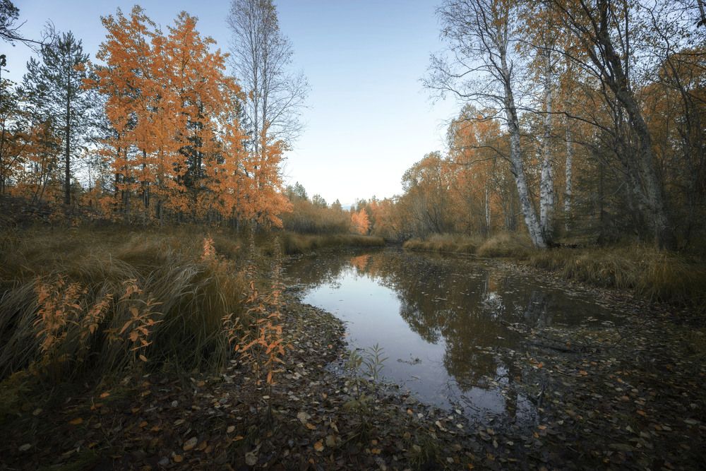 Photograph by Сергей Давлетшин