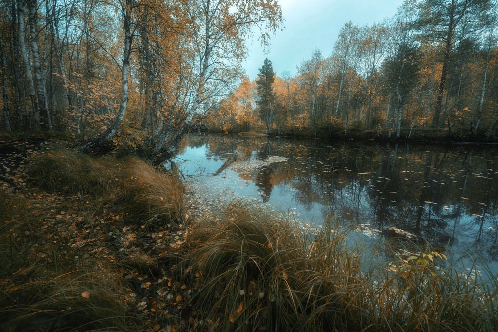 Photograph by Сергей Давлетшин