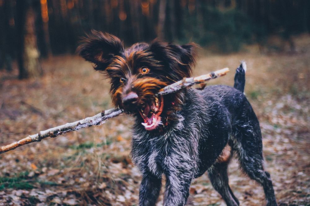 Photograph by Ольга Глущенко