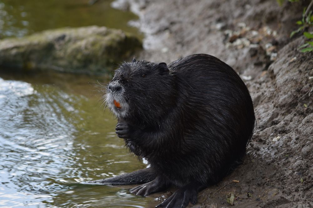 Photograph by Андрей Головин